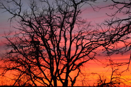 coucher de soleil depuis la terrasse
